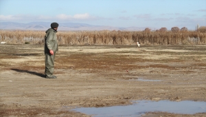 Konya'da göçü kaçıran leylek limanda balıkçıların yolunu gözlüyor
