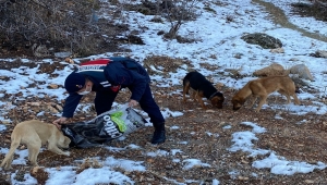Konya'da kar yağışı nedeniyle yiyecek bulamayan sokak hayvanlarına jandarmadan yardım eli