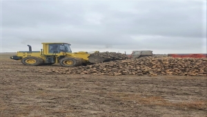 Nevşehir Özel İdare ekipleri, ürünü tarlada kalan üreticiye yardımcı oldu