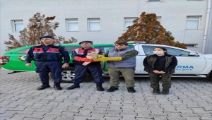 Niğde'de jandarmanın bulduğu yaralı şahin korumaya alındı