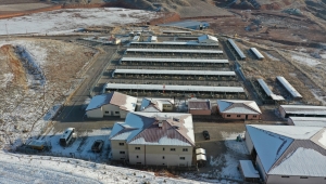 Sivas'ta "can dostlara" modern tesiste hizmet veriliyor