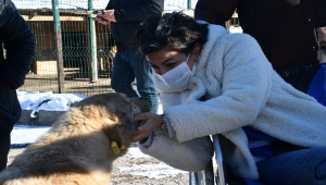 Sivas'taki bakım ve rehabilite merkezi sahipsiz hayvanlara yuva oluyor 