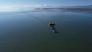 Yazı adada geçiren koyunlar salla kırsal mahalleye getirildi