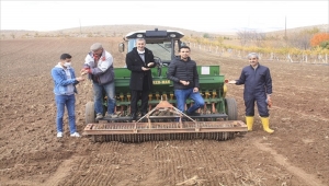 Yozgat'ta atalık buğday çeşitlerinin ekimi yaygınlaştırılıyor
