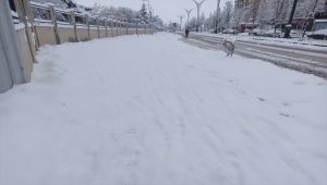 AK Parti İl Başkanı Ünsal'dan Kırşehir Belediyesine "karla mücadele" eleştirisi