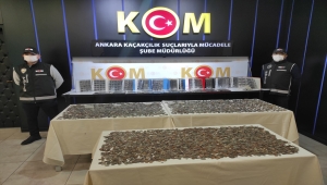 Ankara'da 16 bin 797 tarihi eser niteliği taşıyan sikke ve takı ele geçirildi