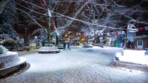 Ankara'nın simgelerinden Kuğulu Park beyaza büründü