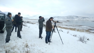 Beyşehir Gölü'nde kış ortası su kuşu sayımı tamamlandı