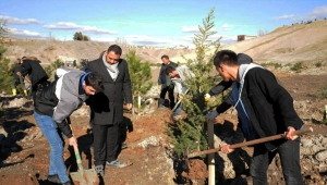 Bozok Üniversitesi Veteriner Fakültesi öğrencileri fidan dikti