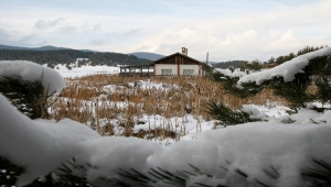 Eğriova Yaylası beyaza büründü