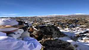 Eren Kış operasyonları PKK'ya ağır bedel ödetti