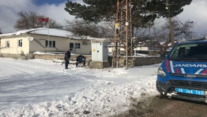 Eskişehir'de sokak hayvanları soğuk havada unutulmadı