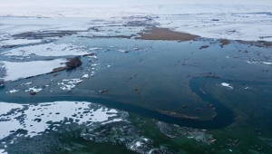İç Anadolu'nun karla kaplı "kuş cenneti" doğaseverleri ağırlıyor