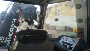 Kar temizlerken bulduğu kediye gözü gibi bakıyor