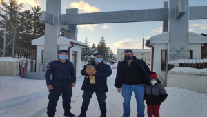 Karaman'da yaralı bulunan kızıl şahin tedavi altına alındı