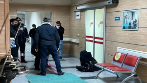 Karaman'da yola çıkan köpeğin yol açtığı kazada 1 kişi öldü, 3 kişi yaralandı 