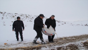 Kayseri'de pazar artıkları yaban hayvanlara yem oldu 