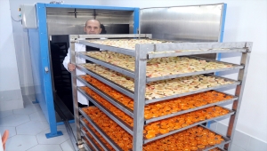 KOSGEB desteğiyle Çankırı'da meyve cipsi üretim tesisi kurdu, gözünü yurt dışına dikti