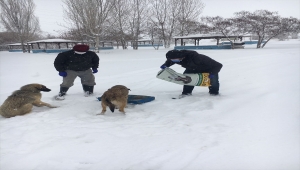 Şereflikoçhisar Belediye Başkanı Çelik, karla mücadele çalışmalarını değerlendirdi