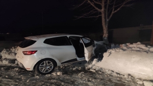 Seydişehir'de ağaca çarpan otomobil sürücüsü yaralandı