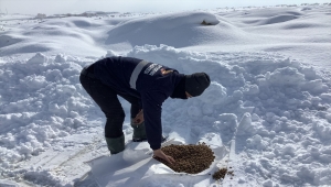 Seydişehir'de sokak hayvanları için doğaya hazır mama bırakıldı