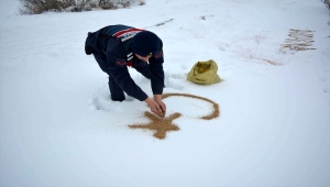 Sivas'ta Mehmetçikler yaban hayvanlarını unutmadı 