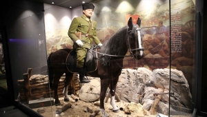 Sivas'ta müze sayısı artacak