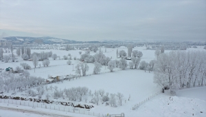 Sivas'ta soğuk hava etkili oluyor