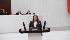AK Parti'li Günay, Meclis Kadın Erkek Fırsat Eşitliği Komisyonu üyesi oldu
