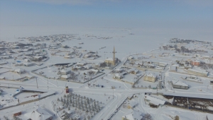 Aksaray'da öğrenci ve veliler sokak hayvanları için "yem havuzu" oluşturdu