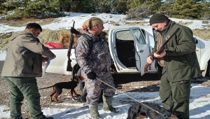 Beypazarı'nda avcılara denetim 
