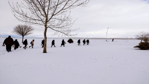 Beyşehir'de üniversite öğrencileri göl kıyısındaki su kuşlarını yemledi