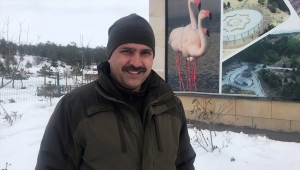 Dünya Sulak Alanlar Günü'nde Seyfe Gölü'nde kar sevinci