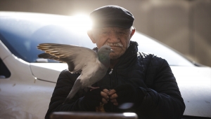 Elleriyle beslediği güvercinler 86 yaşındaki ayakkabı boyacısının en yakın arkadaşı oldu
