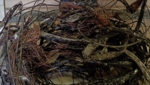 Kayseri'de iletişim kablosu çalan zanlı yakalandı