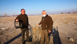 Kayseri'de saka kuşu avlayan kişi suçüstü yakalandı