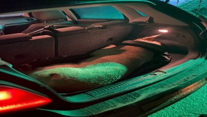 Kırıkkale'de boynu çöp kovasına sıkışan köpeği itfaiye kurtardı