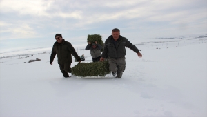 Kırşehir'de yaban hayvanları için doğaya yiyecek bırakıldı