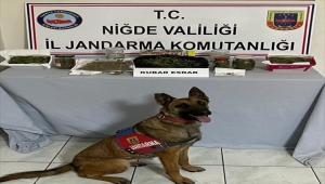 Niğde'de evinde bir kilogram esrar bulunan şüpheli gözaltına alındı