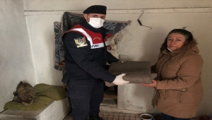 Sivas'ta jandarmadan Dünya Kediler Günü'nde hayvansevere destek