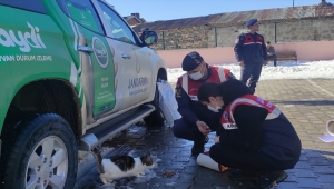 Sivas'ta jandarmadan ihtiyaç sahibi çocuklara giysi, sokak hayvanlarına mama