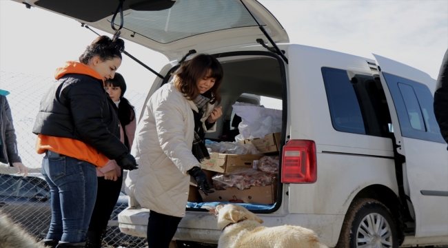 Üniversite öğrencileri "patili dostları" el birliğiyle besliyor