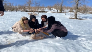 Üniversite öğrencileri yaban hayvanlarını unutmadı
