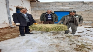 Yaban hayvanlarına vatandaşlardan yem desteği 