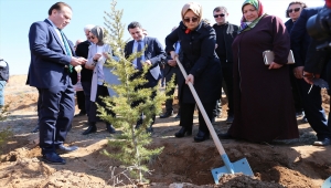 Aksaray'da şehit ve gaziler için fidan dikildi