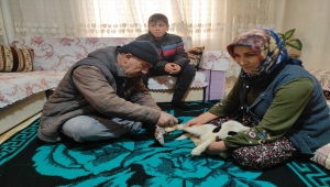 Bacağı kırılan "Batuka" karantina sürecinde evlerinin "kuzusu" oldu