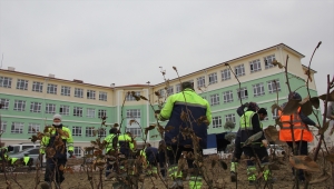 Beypazarı'nda okul bahçeleri yeşillendiriliyor