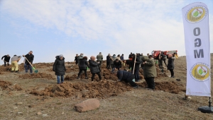 Çubuk'ta adliye personeli fidan dikti