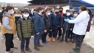 Harçlıklarıyla aldıkları mamalarla sokak hayvanlarını beslediler