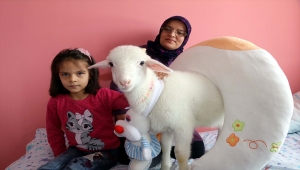 Hastalanan kuzuyu evde özenli bakımla iyileştirdiler